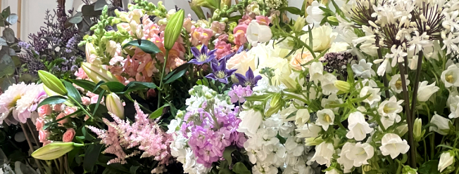 Occasional Flowers